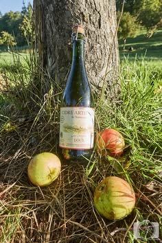 A bottle of Norman cider standing in the grass at the foot of a tree, with apples around it